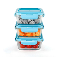 glass food container  3pcs set